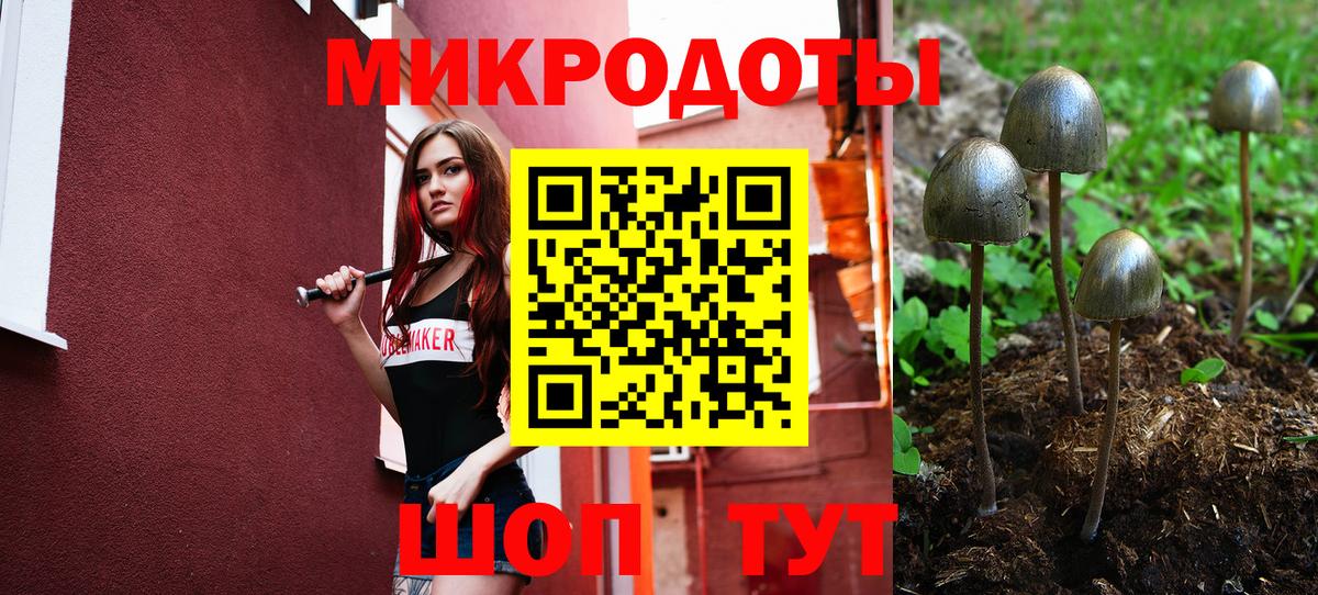 Карачаевск  Псилоцибиновые грибы GOLDEN TEACHER  Вход с VPN 
